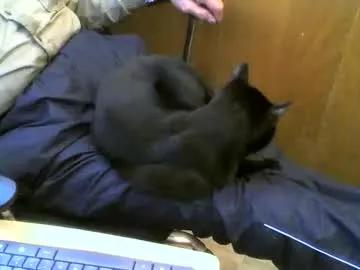 muller520 on Chaturbate 